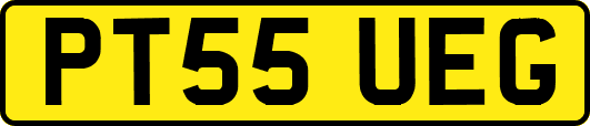 PT55UEG