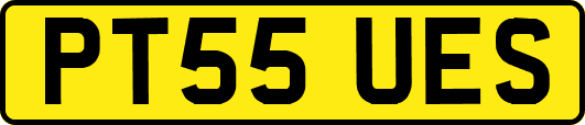 PT55UES