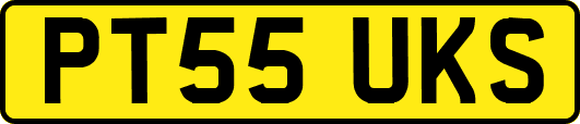 PT55UKS