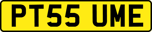 PT55UME