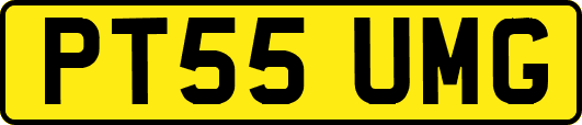 PT55UMG