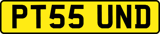 PT55UND