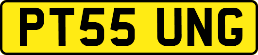 PT55UNG