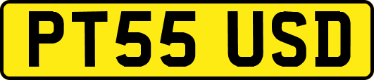 PT55USD