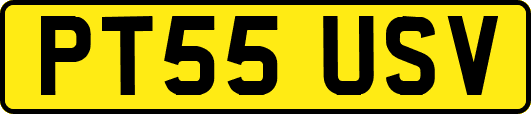 PT55USV