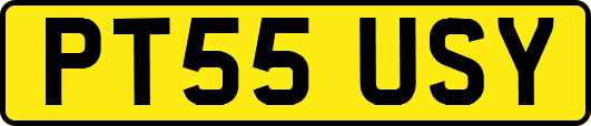 PT55USY