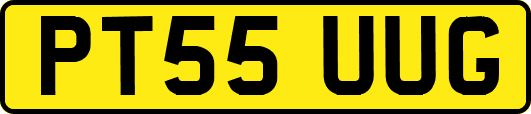PT55UUG