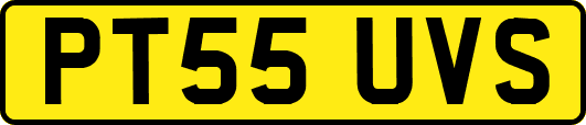 PT55UVS