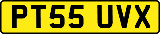 PT55UVX