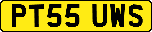 PT55UWS