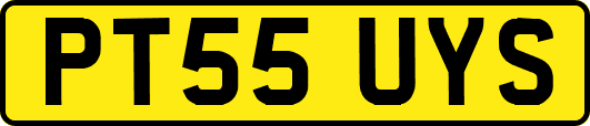 PT55UYS