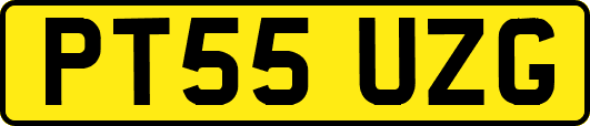 PT55UZG