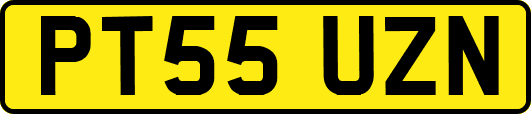 PT55UZN