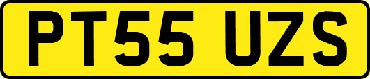 PT55UZS