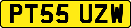 PT55UZW