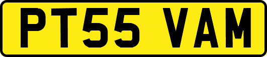 PT55VAM
