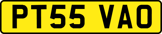 PT55VAO