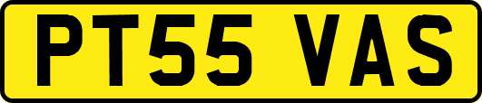 PT55VAS