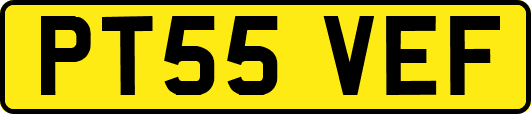 PT55VEF