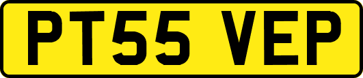 PT55VEP