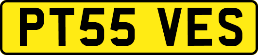 PT55VES
