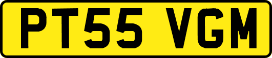 PT55VGM