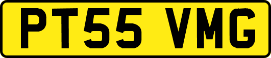PT55VMG