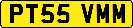 PT55VMM