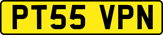 PT55VPN