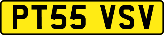 PT55VSV