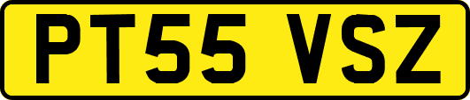 PT55VSZ