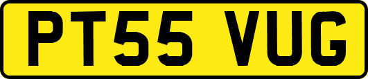 PT55VUG
