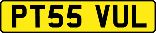 PT55VUL