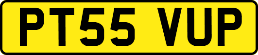 PT55VUP