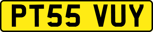PT55VUY