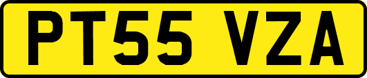 PT55VZA