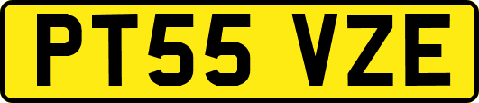 PT55VZE