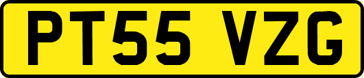 PT55VZG