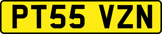 PT55VZN