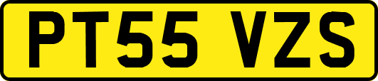 PT55VZS