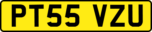 PT55VZU