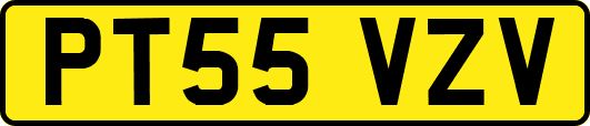 PT55VZV