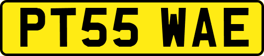 PT55WAE