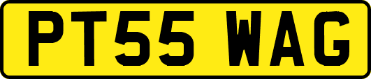 PT55WAG