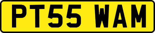 PT55WAM