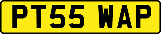 PT55WAP
