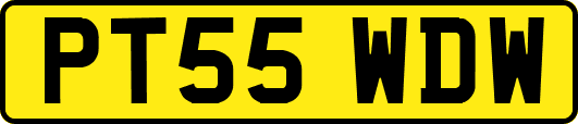 PT55WDW
