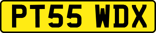 PT55WDX