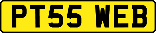 PT55WEB