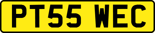 PT55WEC